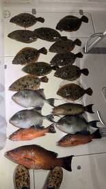 Latest trip on Scale Time Fishing Charte