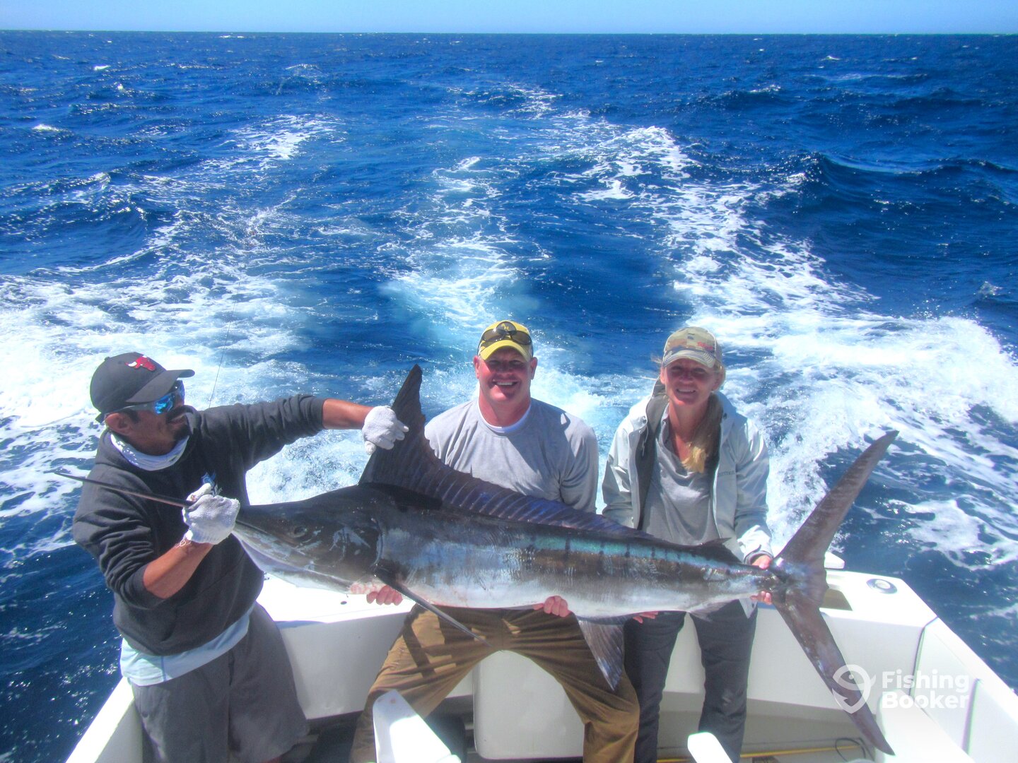 Cabo San Lucas Report Photo 0