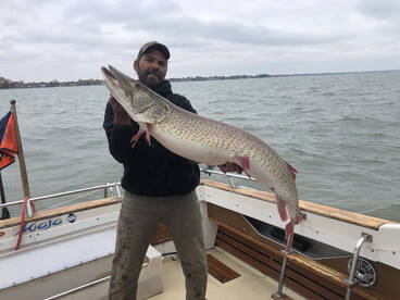 Big muskie