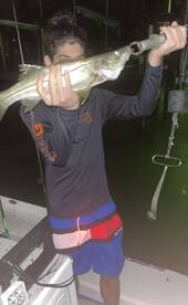 Spring bite is on fire