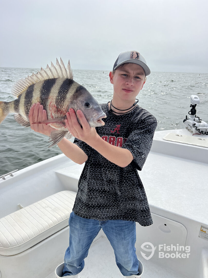 Gulf Shores Report Photo 0
