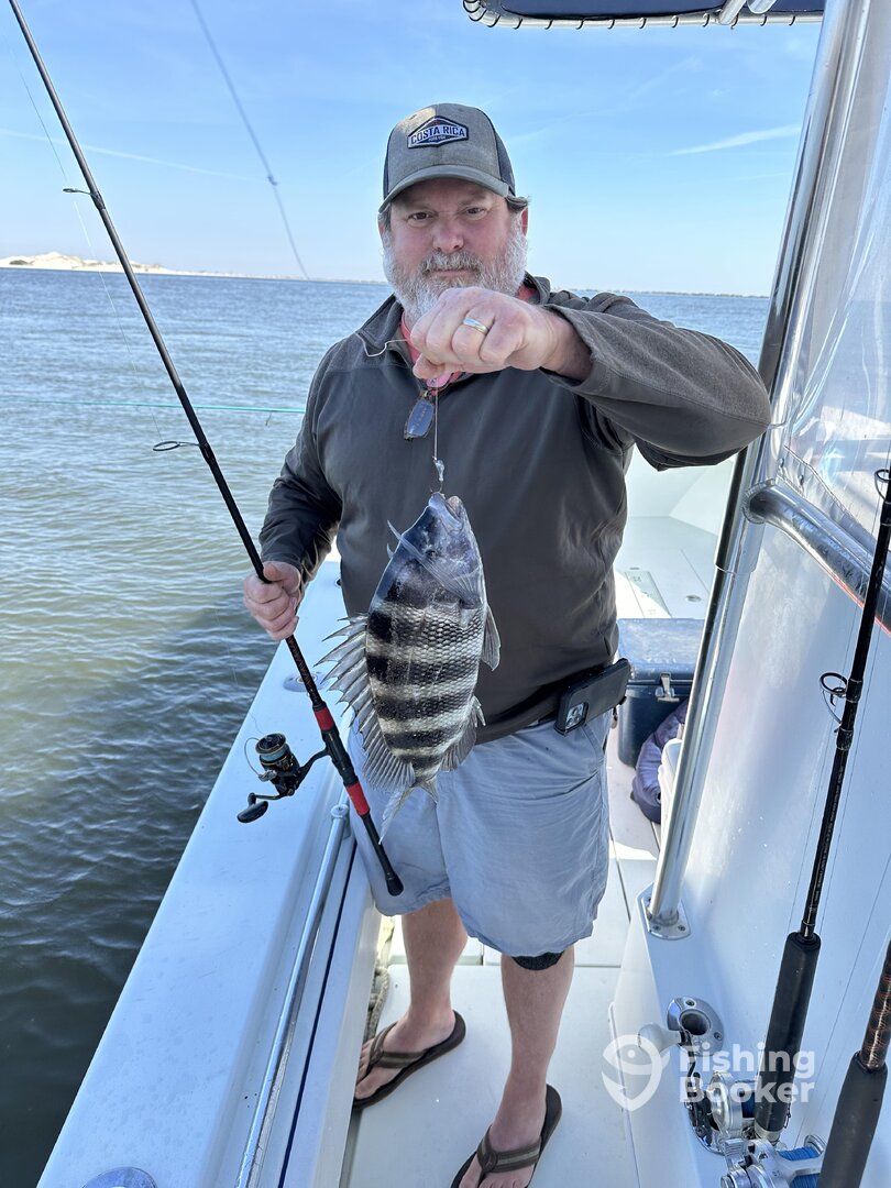 Jacksonville Report Photo 0
