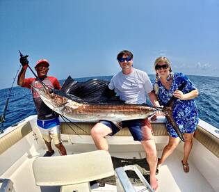 SAILFISH PUT ON A GOOD SHOW IN CALM WATE
