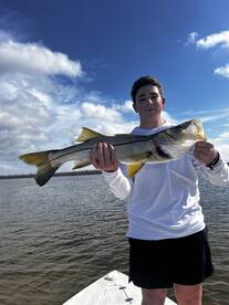 Great Mid March update