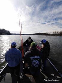 Big Missouri spoonbill