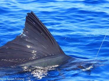 Quepos Report Photo 2