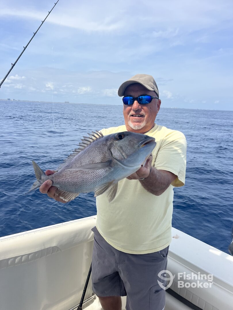 West Palm Beach Report Photo 0