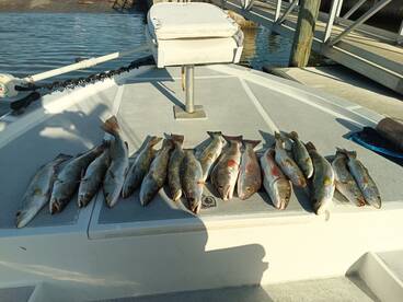Spring time trout, redfish & snook are f