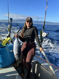 Haleiwa Report Photo 2