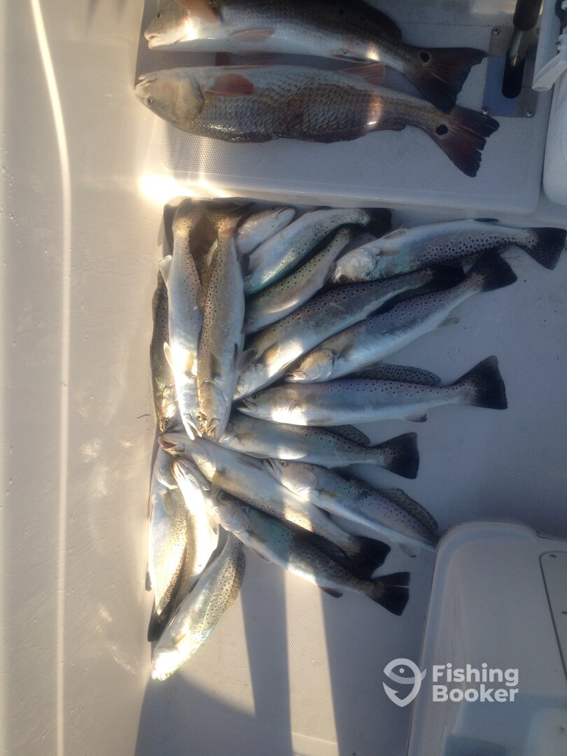 Rockport Report Photo 0