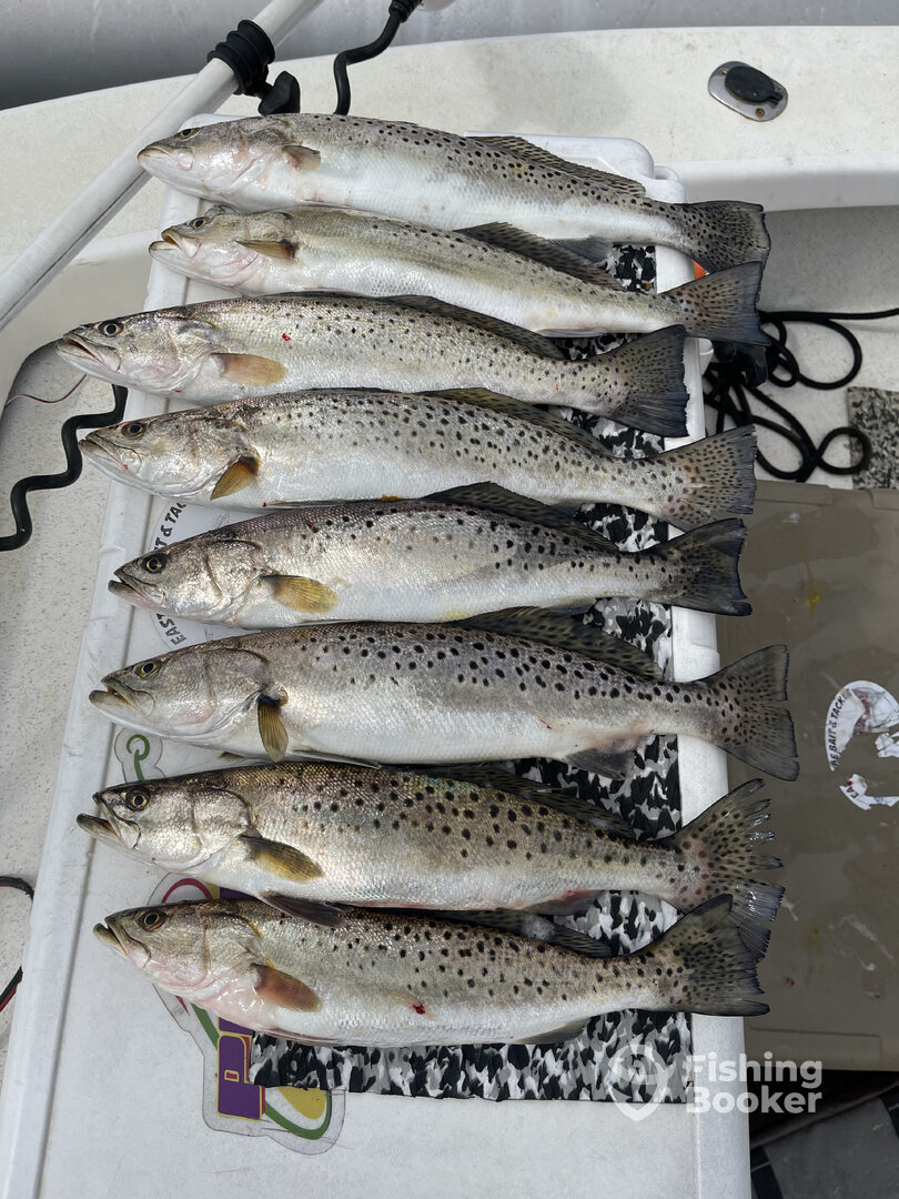 River Road Report Photo 0