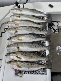 Spring time trout thump 