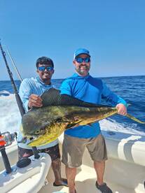 Marlin