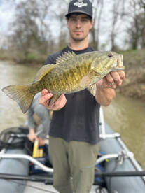 Smallmouth were hammering today!