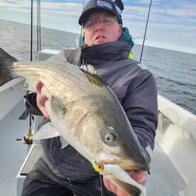 Pasadena Report Photo 1