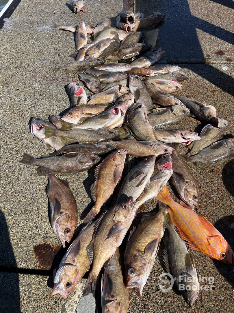 Coos Bay Report Photo 0