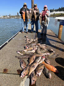 Coos Bay Report Photo 1