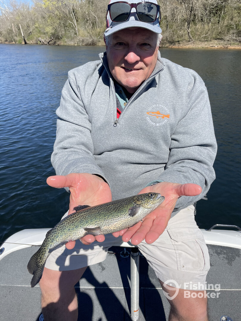Branson Report Photo 0