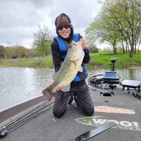 The big bass are pushing to the bank!!!