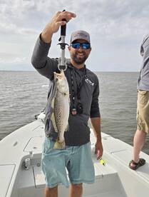 New Orleans Report Photo 2