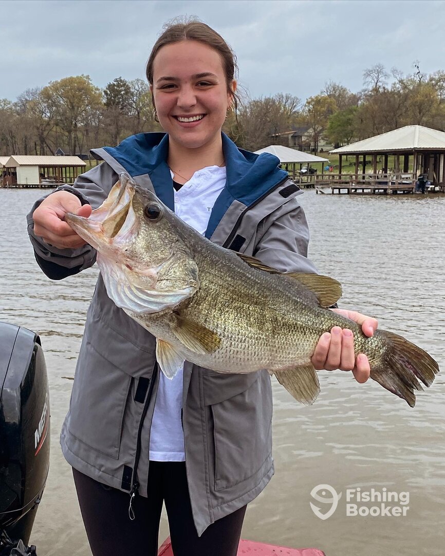 Quitman Report Photo 0