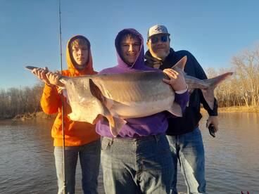 Paddlefish/Spoonbill carching