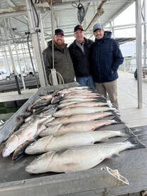 Live bait bite kicking off