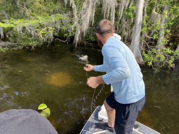 Casselberry Report Photo 1