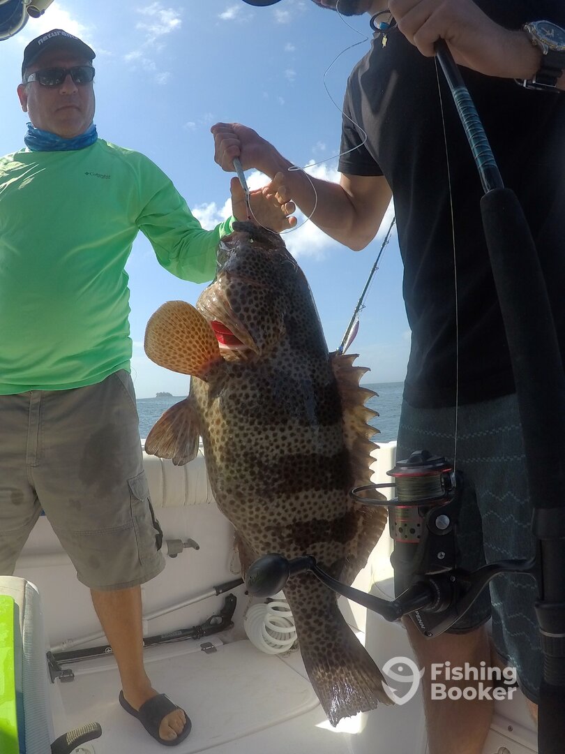 Panama City Report Photo 0