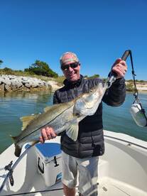 Big blue fish and snook today