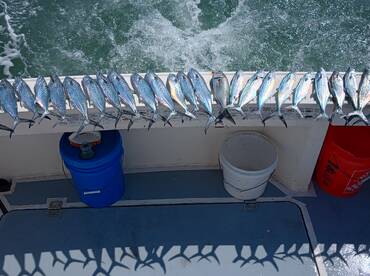 Warmer water hotter fishing.