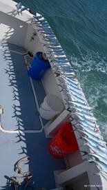 Port Canaveral Report Photo 2