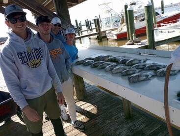 Gulf Shores Report Photo 2
