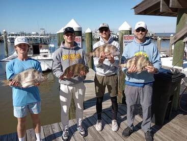 Sheepshead are on fire 