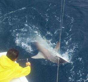 Fort Lauderdale Report Photo 1