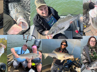 Spring Striped Bass Run!