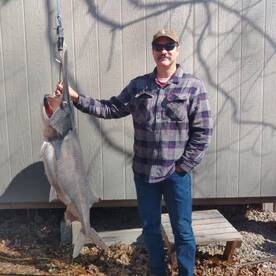 Stover Report Photo 2