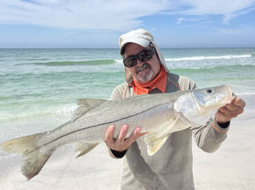 Big Bluefish and big Snook biting on the