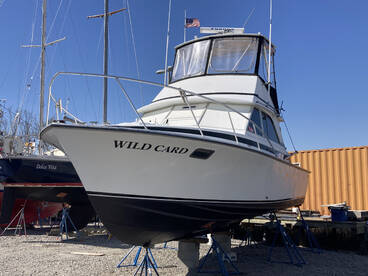 Won’t be long now!