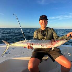 KINGFISH are here!!!!