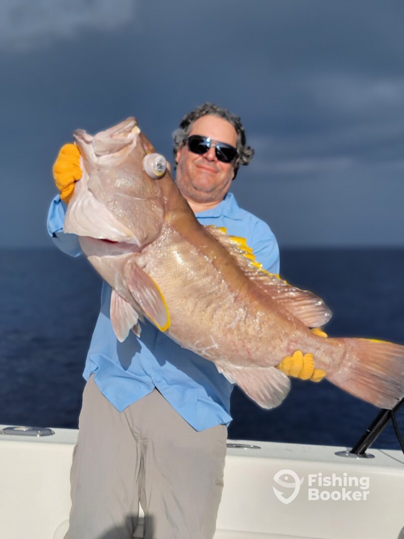 La Romana Report Photo 0