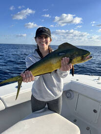 Mahi mahi