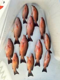 Awesome day on the ocean today!