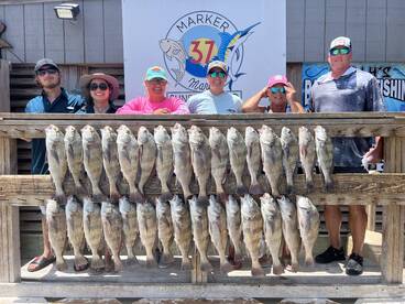 132lbs of Black Drum Caught
