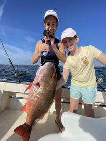 Giant Mutton Snapper Biting!