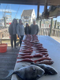 Orange Beach Report Photo 2