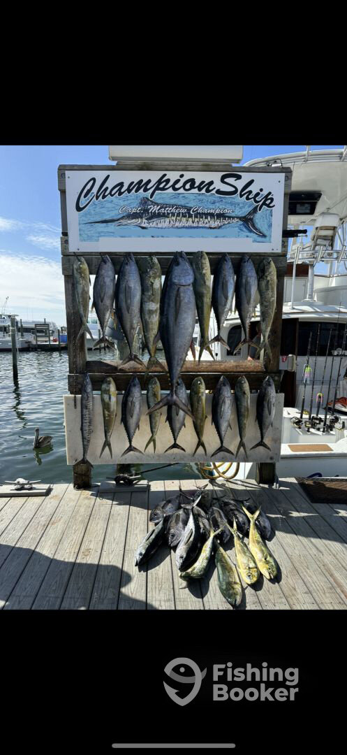 Destin Report Photo 0