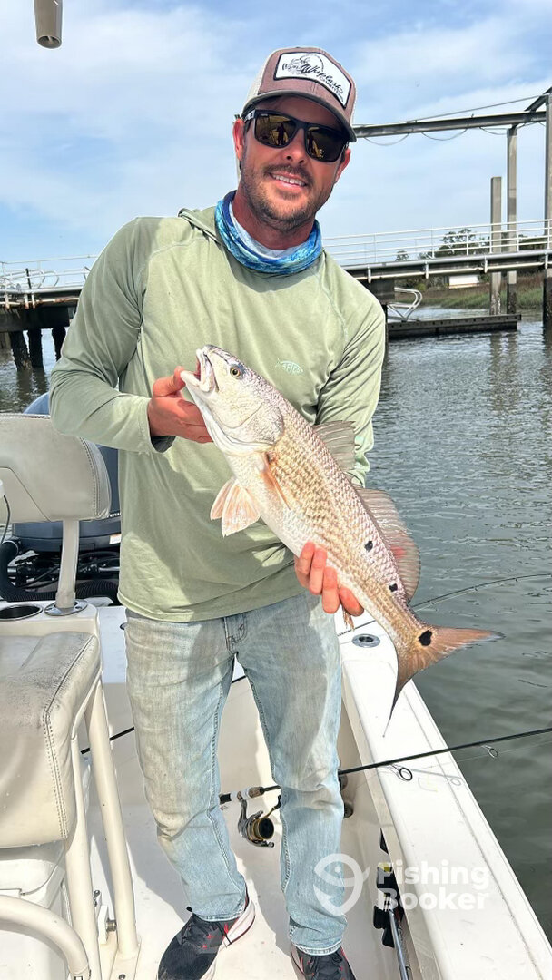 Savannah Report Photo 0