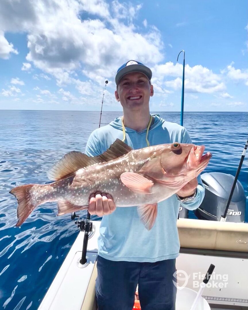 Red Grouper