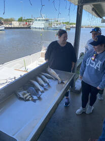 Galveston Report Photo 1
